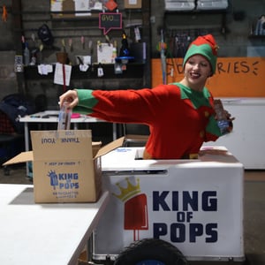 Elf_in_cart_tree_elves-1