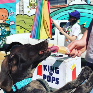 regram dkaszycki atl cart dog pop